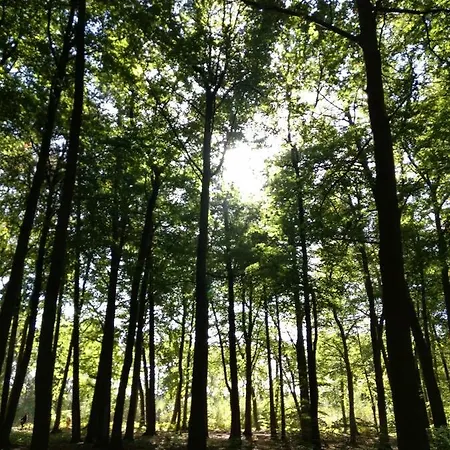 Kuestenzimmer Iii アパート