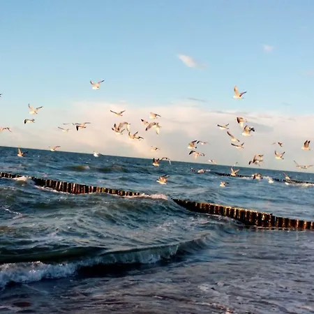 アパート Kuestenzimmer Iii