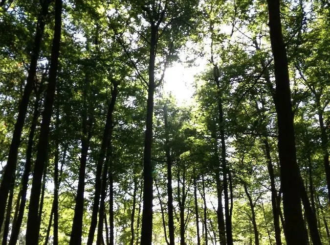 Kuestenzimmer Iii شقة