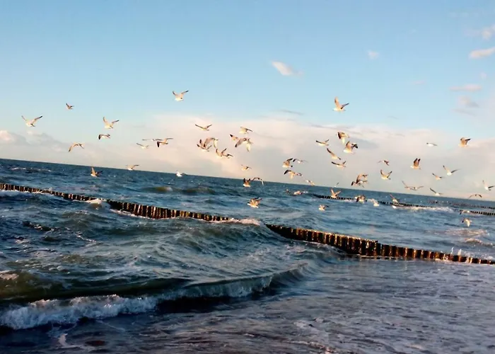 شقة Kuestenzimmer Iii